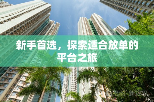 新手首选，探索适合放单的平台之旅