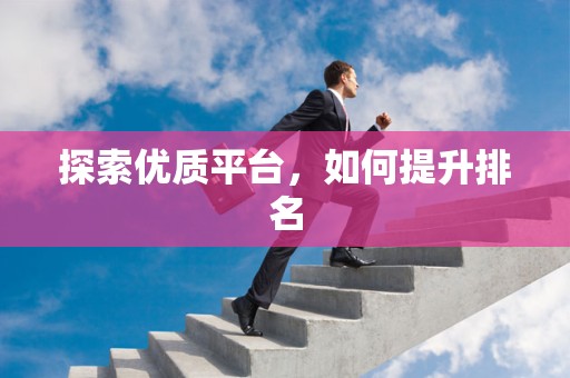探索优质平台，如何提升排名