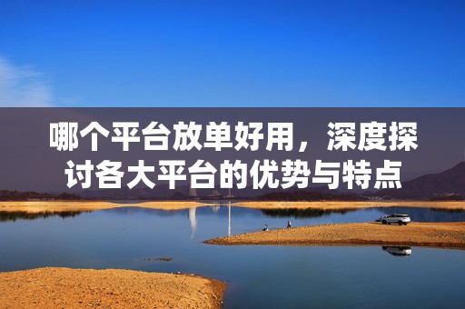 哪个平台放单好用，深度探讨各大平台的优势与特点