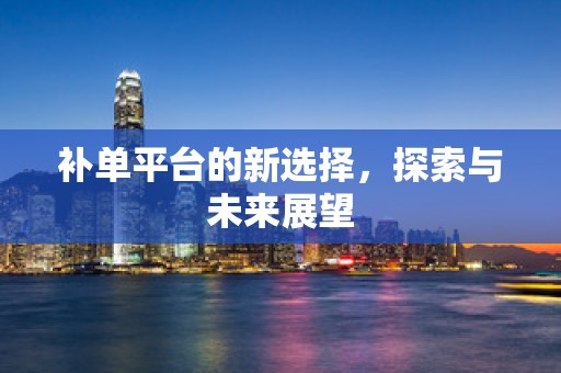 补单平台的新选择，探索与未来展望