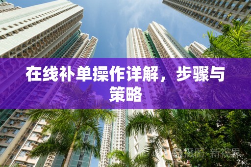 在线补单操作详解，步骤与策略