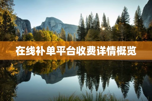 在线补单平台收费详情概览