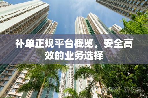 补单正规平台概览，安全高效的业务选择