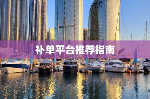 补单平台推荐指南