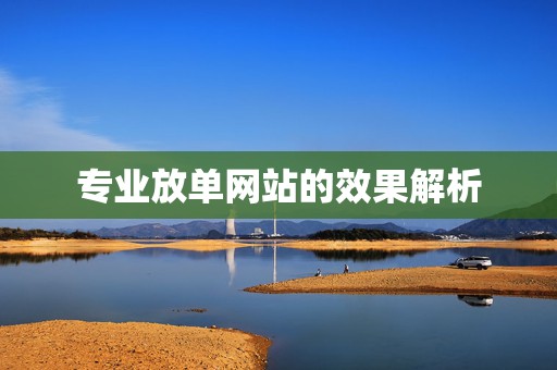 专业放单网站的效果解析