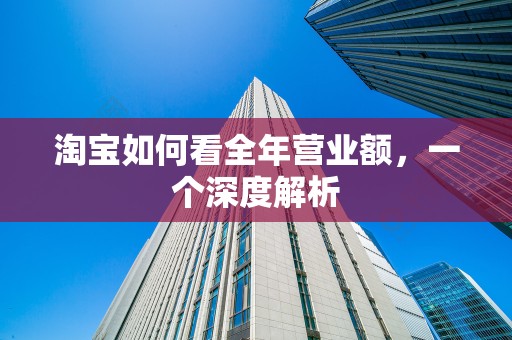 淘宝如何看全年营业额，一个深度解析