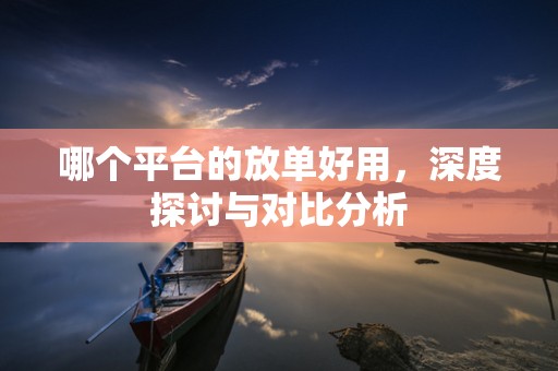 哪个平台的放单好用，深度探讨与对比分析