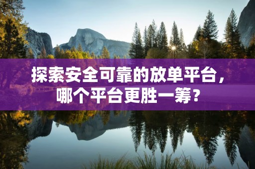 探索安全可靠的放单平台，哪个平台更胜一筹？