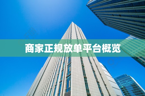 商家正规放单平台概览