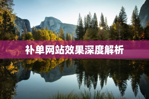 补单网站效果深度解析