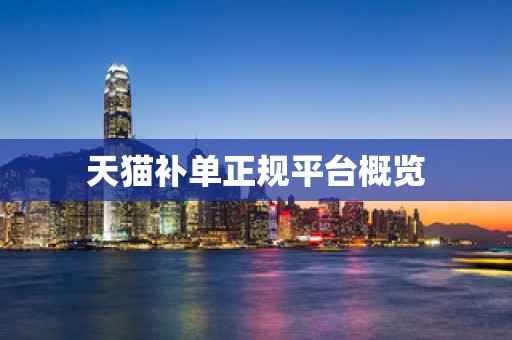 天猫补单正规平台概览