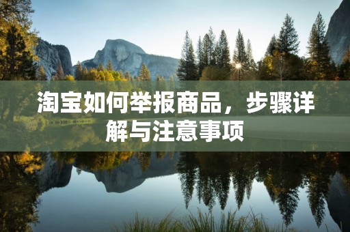 淘宝如何举报商品，步骤详解与注意事项