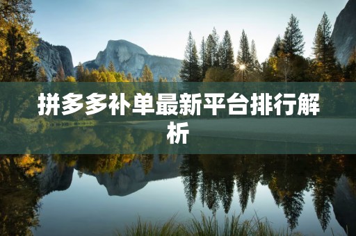 拼多多补单最新平台排行解析