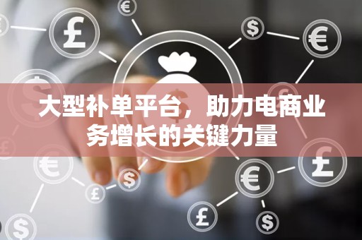 大型补单平台，助力电商业务增长的关键力量