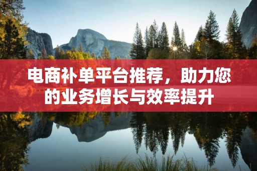 电商补单平台推荐，助力您的业务增长与效率提升