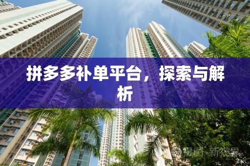 拼多多补单平台，探索与解析