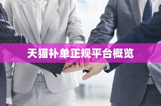 天猫补单正规平台概览