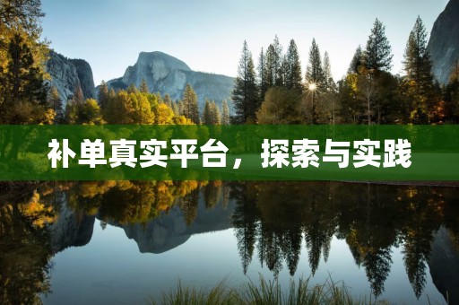 补单真实平台，探索与实践