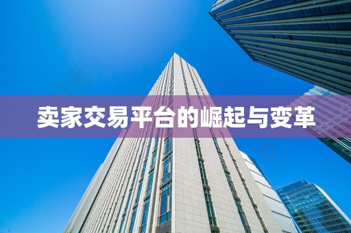 卖家交易平台的崛起与变革