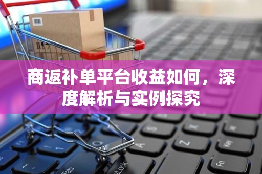 商返补单平台收益如何，深度解析与实例探究