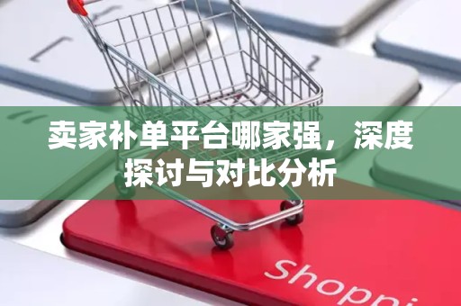 卖家补单平台哪家强，深度探讨与对比分析