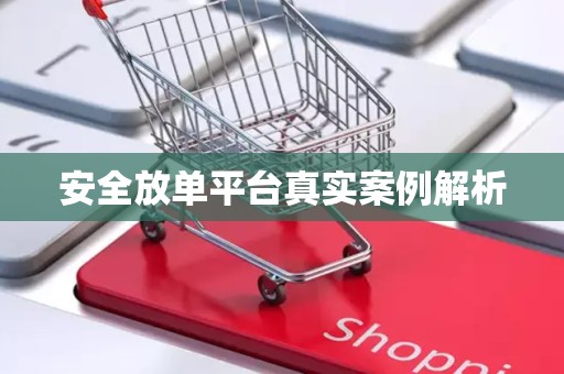 安全放单平台真实案例解析