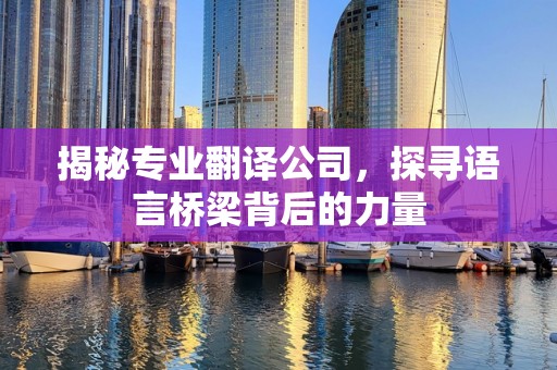 揭秘专业翻译公司，探寻语言桥梁背后的力量