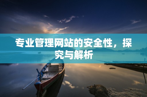 专业管理网站的安全性，探究与解析