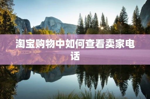 淘宝购物中如何查看卖家电话