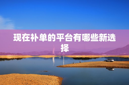 现在补单的平台有哪些新选择