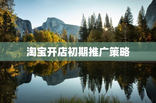 淘宝开店初期推广策略