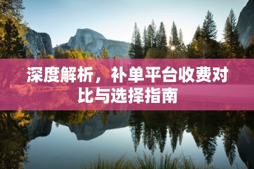 深度解析，补单平台收费对比与选择指南