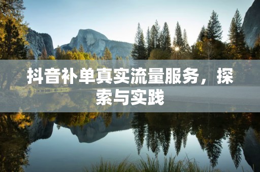 抖音补单真实流量服务，探索与实践