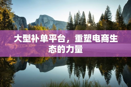 大型补单平台，重塑电商生态的力量