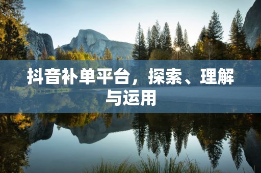 抖音补单平台，探索、理解与运用