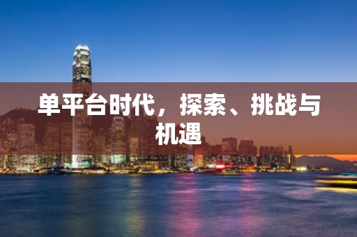 单平台时代，探索、挑战与机遇
