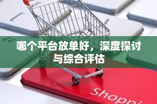 哪个平台放单好，深度探讨与综合评估
