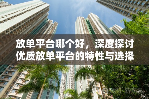 放单平台哪个好，深度探讨优质放单平台的特性与选择标准