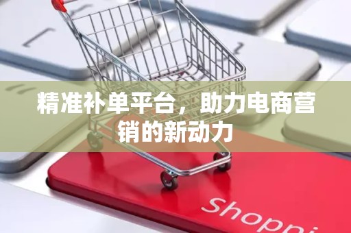 精准补单平台，助力电商营销的新动力