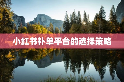 小红书补单平台的选择策略
