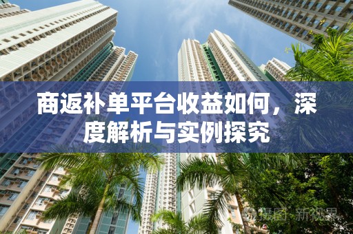 商返补单平台收益如何，深度解析与实例探究