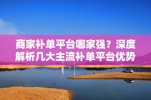 商家补单平台哪家强？深度解析几大主流补单平台优势