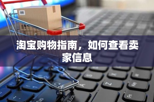 淘宝购物指南，如何查看卖家信息