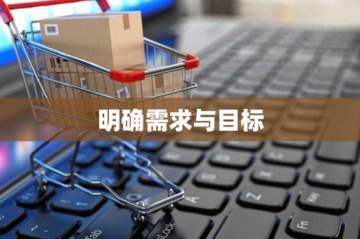 明确需求与目标