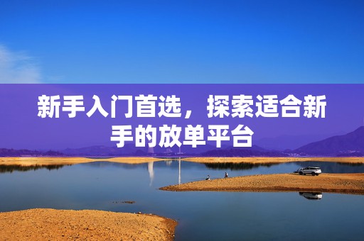 新手入门首选，探索适合新手的放单平台