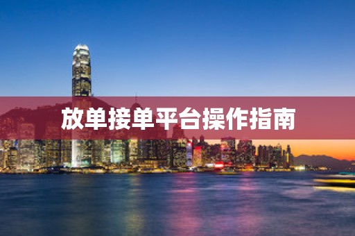 放单接单平台操作指南