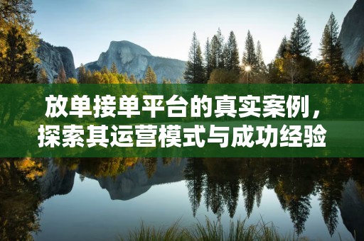 放单接单平台的真实案例，探索其运营模式与成功经验