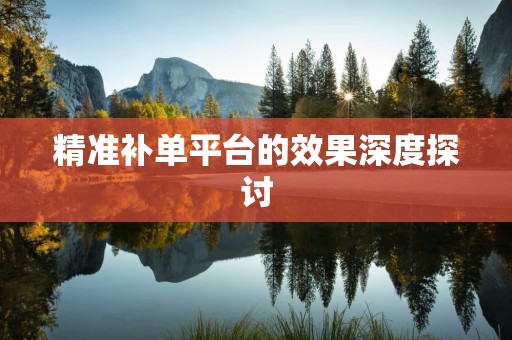 精准补单平台的效果深度探讨