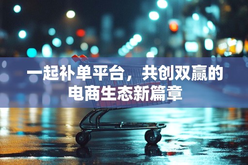 一起补单平台，共创双赢的电商生态新篇章