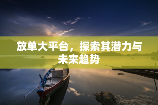 放单大平台，探索其潜力与未来趋势
